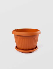 Ghiveci cu farfurie Bella, Sterk 24cm (NR.4)