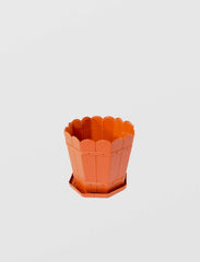 Ghiveci cu farfurie Rustic 5L, Sterk 24x24x22