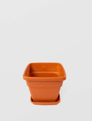 Ghiveci cu farfurie Patrat, Sterk 21x21x18 (NR.3)